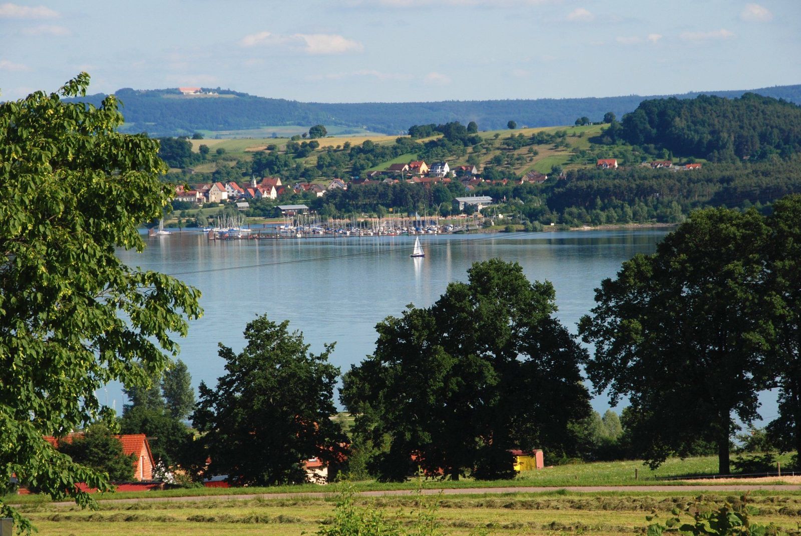 Blick über Bäume auf den Großen Brombachsee und Enderndorf