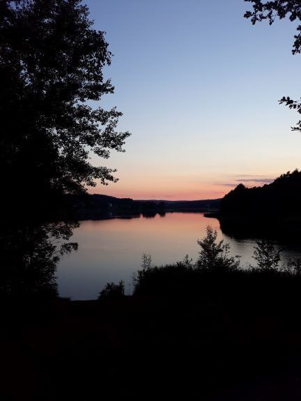Sonnenuntergang über dem See zwischen dunklen Baumsilhouetten
